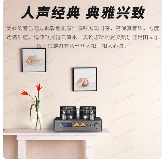 Amplificador de Potência Sem F - Audio Youtube Music Free avaliação e preço